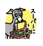 おでかけイタグレ達のスタンプ（個別スタンプ：8）