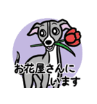 おでかけイタグレ達のスタンプ（個別スタンプ：12）