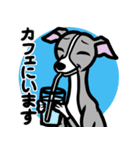 おでかけイタグレ達のスタンプ（個別スタンプ：20）