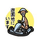 おでかけイタグレ達のスタンプ（個別スタンプ：22）