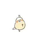 ゆるかわおかめいんこ（個別スタンプ：2）