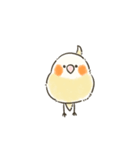 ゆるかわおかめいんこ（個別スタンプ：7）