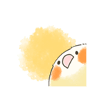 ゆるかわおかめいんこ（個別スタンプ：8）