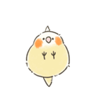 ゆるかわおかめいんこ（個別スタンプ：10）