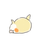 ゆるかわおかめいんこ（個別スタンプ：12）