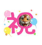 とら②年始～受験生応援。。（個別スタンプ：4）