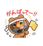 とら②年始～受験生応援。。（個別スタンプ：15）