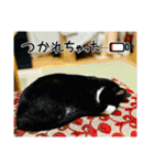 FPS男のLINEスタンプ・肆（個別スタンプ：18）