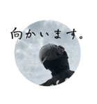 FPS男のLINEスタンプ・肆（個別スタンプ：19）