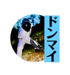 FPS男のLINEスタンプ・肆（個別スタンプ：23）