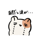 煽り煽られハムスターちん（個別スタンプ：33）