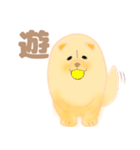 チャウチャウちゃうか？（個別スタンプ：1）