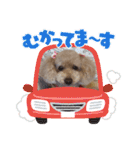 大好きな美美ちゃんのスタンプ（個別スタンプ：2）