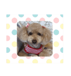 大好きな美美ちゃんのスタンプ（個別スタンプ：4）