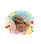 大好きな美美ちゃんのスタンプ（個別スタンプ：6）