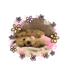 大好きな美美ちゃんのスタンプ（個別スタンプ：7）