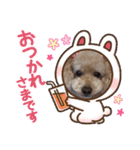 大好きな美美ちゃんのスタンプ（個別スタンプ：9）
