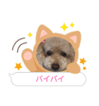 大好きな美美ちゃんのスタンプ（個別スタンプ：11）