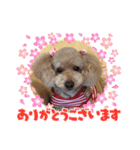 大好きな美美ちゃんのスタンプ（個別スタンプ：13）