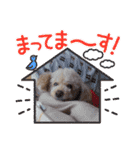 大好きな美美ちゃんのスタンプ（個別スタンプ：14）