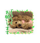 大好きな美美ちゃんのスタンプ（個別スタンプ：22）