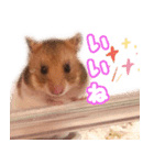むむちゃんとべるちゃん（個別スタンプ：1）