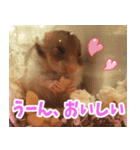 むむちゃんとべるちゃん（個別スタンプ：2）