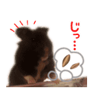 むむちゃんとべるちゃん（個別スタンプ：4）