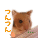 むむちゃんとべるちゃん（個別スタンプ：5）
