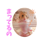 むむちゃんとべるちゃん（個別スタンプ：6）