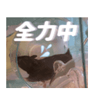 むむちゃんとべるちゃん（個別スタンプ：8）