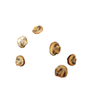 パスタのトッピングを追加してね。（個別スタンプ：32）