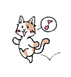 こね工房の可愛い猫ちゃんスタンプ（個別スタンプ：13）