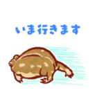 いろんなカエルのスタンプ（個別スタンプ：20）
