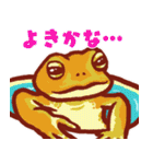 いろんなカエルのスタンプ（個別スタンプ：38）