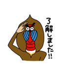 となりのマンドリル 日常スタンプ(丁寧語)（個別スタンプ：11）