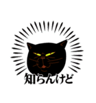 黒猫のノイくん（個別スタンプ：8）