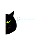 黒猫のノイくん（個別スタンプ：34）
