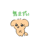 ごーるでんれとりばーのスタンプ（個別スタンプ：28）