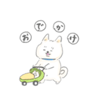 子育て白柴モモタロ（個別スタンプ：1）