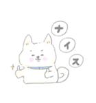 子育て白柴モモタロ（個別スタンプ：5）