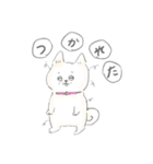 子育て白柴モモタロ（個別スタンプ：8）