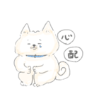 子育て白柴モモタロ（個別スタンプ：9）