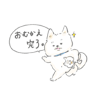 子育て白柴モモタロ（個別スタンプ：11）