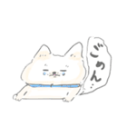 子育て白柴モモタロ（個別スタンプ：12）