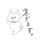 子育て白柴モモタロ（個別スタンプ：20）