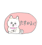 子育て白柴モモタロ（個別スタンプ：25）