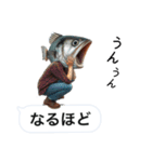魚人の釣り  カスタム（個別スタンプ：33）