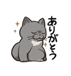 ブリショくうのスタンプ（個別スタンプ：5）