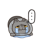 ブリショくうのスタンプ（個別スタンプ：7）